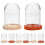 40 Pcs Rose Globe Glass Display Case With Transparent Dome And Base 11