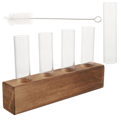 Conjunto Propagação Plantas Suporte