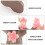 1 Stck Japanischer Kirschblütenbaum Rosa 10