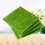 2 Pezzi Artificiale 15X15 Cm per Mini Da Te 10