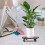 Support Pour Plantes Roulettes Plateau En 3