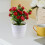 In Vaso Artificiale Albero Per Arredamento Casa 8