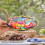 6 Alimenti Asporto E Picnic Vassoio Pane Popcorn 10