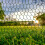 Grillage Hexagonal Galvanisé Recouvert Vert Pour Jardin 10