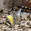 beekeeping manual smoker with mini nozzle stainless steel silver 5