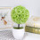 Piante Artificiali Bonsai In Verde Per Decorazione Casa 6