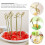 100 Pezzi Spiedini In Bamboo Per Frutta E Cocktail 11