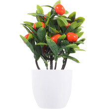 Sztuczne Drzewko Owocowe W Doniczce Na Stół Symulacja Bonsai