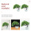 2 Pezzi Albero Pino Artificiale In Vaso Bonsai Da 8