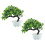 2 Pezzi Albero Pino Artificiale In Vaso Bonsai Da 9