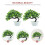 2 Pezzi Albero Pino Artificiale In Vaso Bonsai Da 5