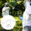 Fencing Foil Handdraad Masker Lijn Professionele Uitrusting 6