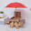 1 Set Picknicktisch Mit Futterautomat Und 5