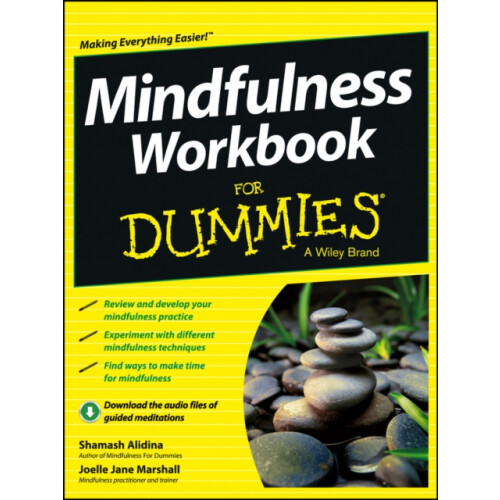 Mindfulness Workbook For Dummies by Joelle Jane Marshall Paperback Boo