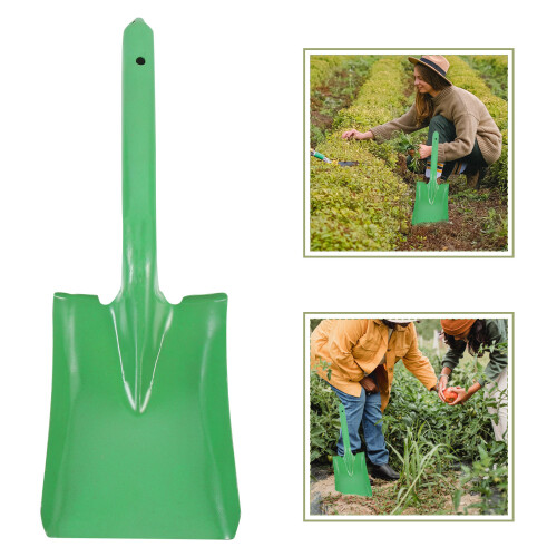 Da Giardinaggio Resistente Per Piantagione 2