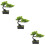 3 Unidades De Bonsai De Artificial 11