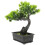 3 Unidades De Bonsai De Artificial 2