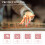 Ruban Ongles Rose Portable Usage Instrument Guzheng 9