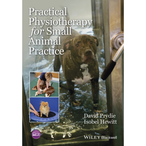 Practical Physiotherapy for Small Animal Practice by Isobel Hewitt Pap