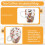 2PCS Fillings Dry Flowers Double Wall Glass Cup With Handle 7