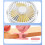 Summer Clip-on Fan Portable Automatic Oscillating Head Fan Black 3
