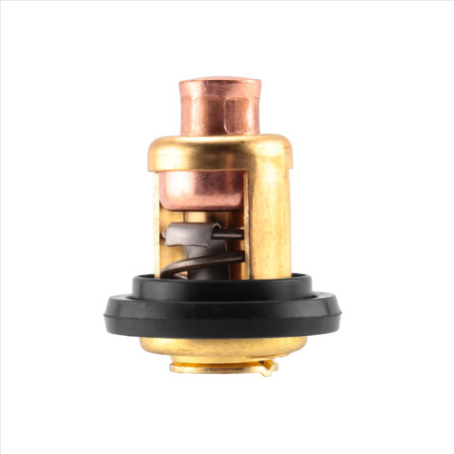 5005440 Termostato para Evinrude Marine 2