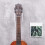 Väggmonterad gitarr för musikälskare, instrumentdisplay, transparent 6