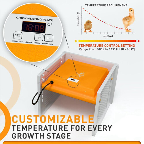 Chick Brooder Heating Plate Digital Temperature Control EU Plug 1