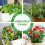 8-pack Electroculture koperen tuinantenne (12 inch) 6