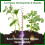8-pack Electroculture koperen tuinantenne (12 inch) 3