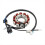 3D6-H1410-00 Stator Coil for 2005 2006 Motorcycle Accessories 7