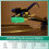 ATN95E replacement stylus for AT95E 2