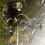 Outdoor Tree Climbing Tool Climbing Spikes for Tree Steel Climbing 4