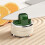 Affilacoltelli multi-angolo, affilacoltelli tascabili, verde 6