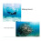 Diving Pointer Rod Stainless Steel Knocker Bottle Knocker B 2