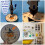 30Pcs Diamond Drilling Bits ø1mm/2mm/3mm 10 Each 1/8" Shank
30Pcs Diamond Drilling Bits 5