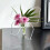 vases
acrylic vase 6