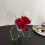 vases
acrylic vase 3