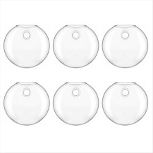 Vase
Hydroponic Glass Vase