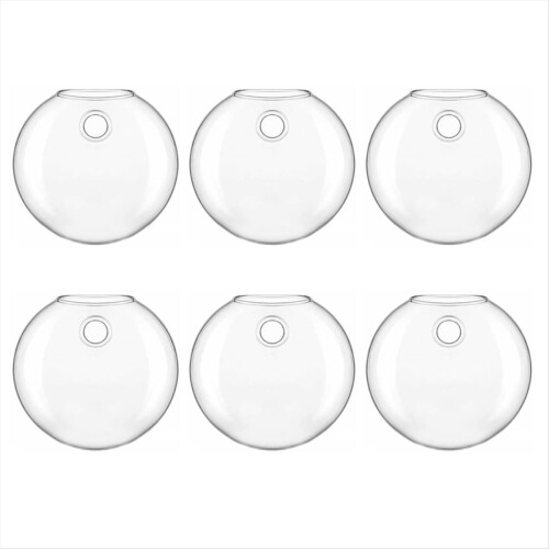 Vase
Hydroponic Glass Vase