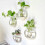 Vase
Hydroponic Glass Vase 4