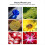 Macro Lens Phone Camera Lens Mobile Phone Camera Lens 5