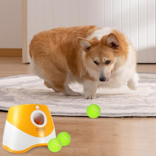 Dog Tennis Launcher
Rechargable Catapult 2