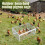 auto trap bird cage small
Auto Trap Bird Cage
Trap bird Cage 4