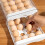 Egg Holder for Fridge
egg container for refrigerator 4