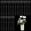 25 stk. blomsterpinde 2