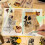 Scrapbooking-Werkzeugset, Klebestift 3