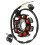 31120-LBD6-E0A Statorspole til PEOPLE S 50 4T VITALITY 50 2