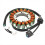 Statorspole til LTA400 LTF400 32102-38F01 32101-38F00 1