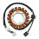 Statorspole til LTA400 LTF400 32102-38F01 32101-38F00 4